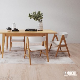 INMACOL SILLA NORDICA 156-1... 2