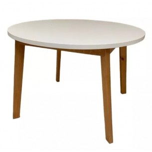 INMACOL MESA REDONDA 159-3...